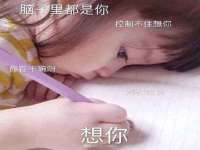 安徽电气集团股份有限公司