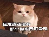 安徽电气集团股份有限公司