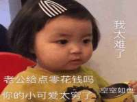安徽电气集团股份有限公司