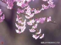 安徽电气集团股份有限公司