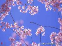 安徽电气集团股份有限公司