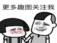 安徽电气集团股份有限公司