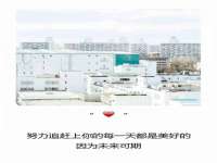 安徽电气集团股份有限公司