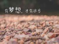 安徽电气集团股份有限公司