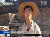 安徽电气集团股份有限公司