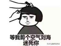 安徽电气集团股份有限公司