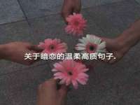 安徽电气集团股份有限公司