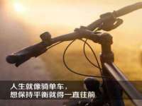 安徽电气集团股份有限公司