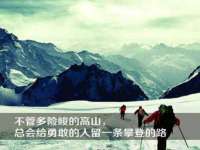 安徽电气集团股份有限公司