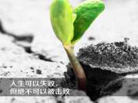 安徽电气集团股份有限公司