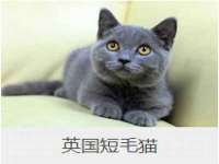 安徽电气集团股份有限公司