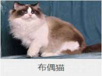 安徽电气集团股份有限公司
