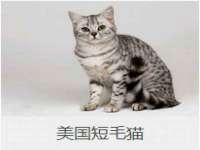 安徽电气集团股份有限公司