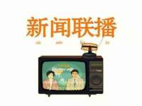 安徽电气集团股份有限公司