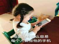 安徽电气集团股份有限公司