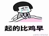 安徽电气集团股份有限公司