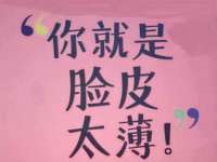 安徽电气集团股份有限公司