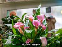 安徽电气集团股份有限公司