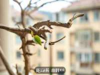安徽电气集团股份有限公司