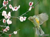 安徽电气集团股份有限公司