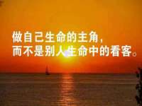 安徽电气集团股份有限公司