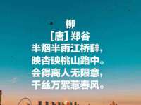 安徽电气集团股份有限公司
