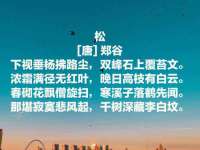 安徽电气集团股份有限公司