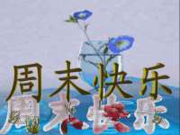 安徽电气集团股份有限公司