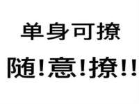 安徽电气集团股份有限公司