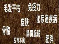 安徽电气集团股份有限公司