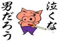 安徽电气集团股份有限公司