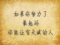 安徽电气集团股份有限公司
