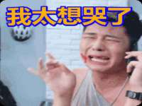 安徽电气集团股份有限公司