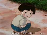 安徽电气集团股份有限公司