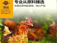 安徽电气集团股份有限公司