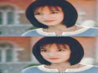 安徽电气集团股份有限公司