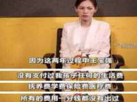 安徽电气集团股份有限公司