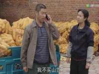 安徽电气集团股份有限公司