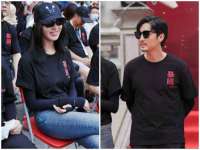 安徽电气集团股份有限公司