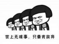 安徽电气集团股份有限公司