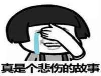 安徽电气集团股份有限公司