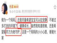 安徽电气集团股份有限公司