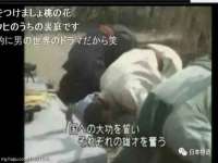 安徽电气集团股份有限公司