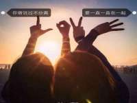 安徽电气集团股份有限公司