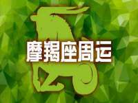 安徽电气集团股份有限公司