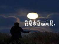 安徽电气集团股份有限公司