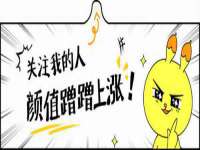 安徽电气集团股份有限公司